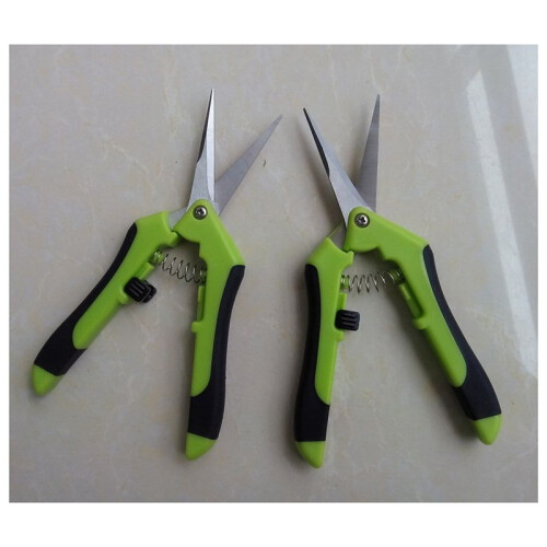 Small Pruning Shears Hydroponic Blade Shears Scissors Pruning Shears 1