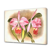 Poster en toile Orchidée – Décoration de chambre ou de bureau