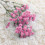 Buquê de Gypsophila artificial de seda, 65 cm 1