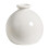 Vase hydroponique en céramique pour fleurs séchées 1