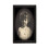 Horror Picture Frame Lenticular 3D Changing Face 1