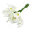Bláthanna Saorga Mini Calla 12 phíosa, Bán 1