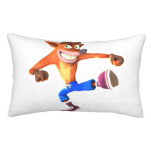 Crash Bandicoot Samtkissenbezug – Weich, farbbeständig