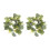 Couronne d'eucalyptus verte en plastique 25 cm 1