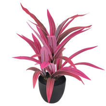 High Quality Artificial Lucky Bamboos-mini.. Purple. leaf.