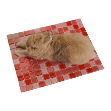 Small Pet Stone Cooling Pad Durable Cooling Tile For Hot-Red L