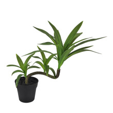 Realistic Artificial Cordyline Dracaena-S type Lily. Bamboo.
