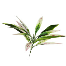 Bright Silk Printed Cloth Brazilwood Dracaena-white green