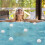 Reusable Oil-Absorbing Sponge  Washable Sponge  Floating Pool Filter Sponge 6