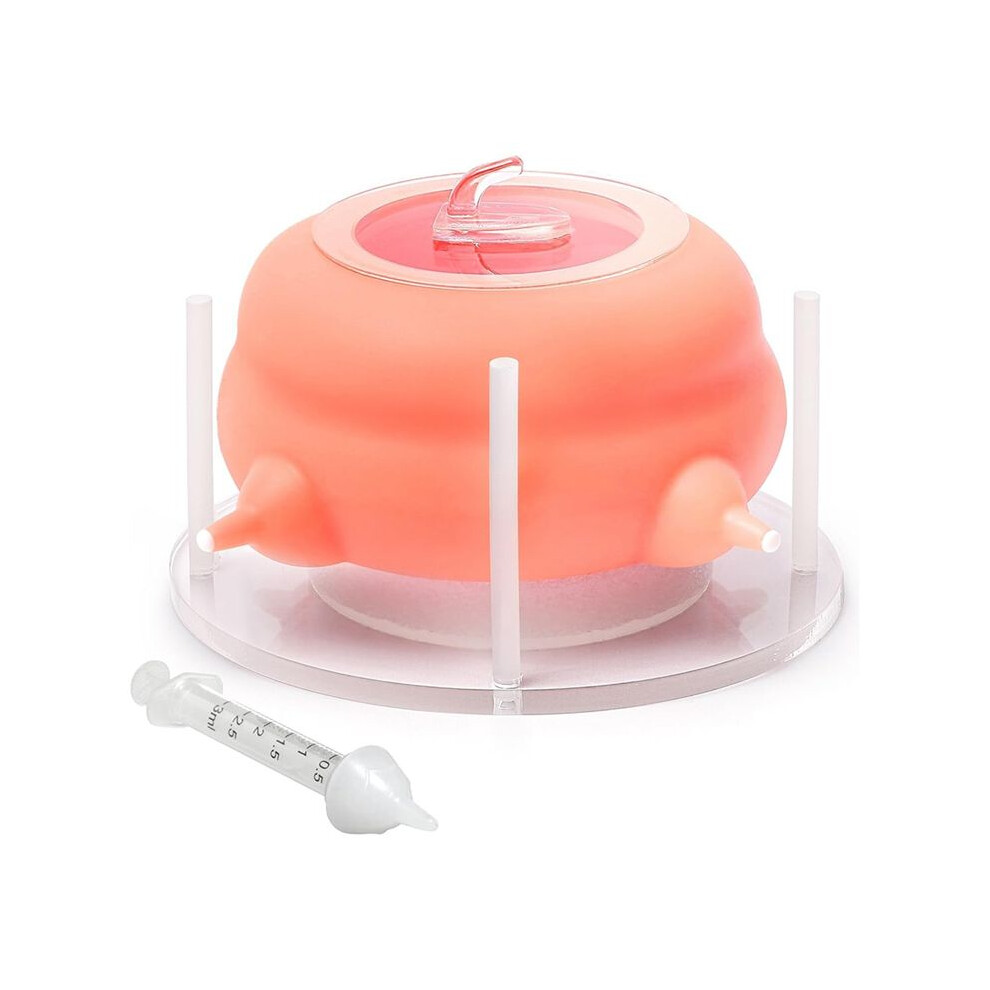 Pet Feeder Bottle,Silicone Feeding Nipple and Syringes for All Breed of Puppies,Kittens and Other Animals Dongdong Pet