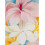 Georgia O'Keeffe Hibiskus Kunstdruck 1