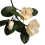 Kunstig magnoliablomsterarrangement beige 75 cm 1