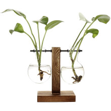 Maceta de cristal para bulbos con soporte de madera