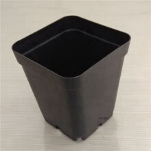 200PCS Plant Disposable Flower Pot Small Black Square Cutting Seedling Plastic Square Pot