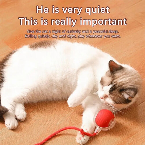 Interactive Cat Rolling  Super Drive Cat Rolling Balls with Bird Chirping Motion Activated Sensor Pet Kitten Teaser 2