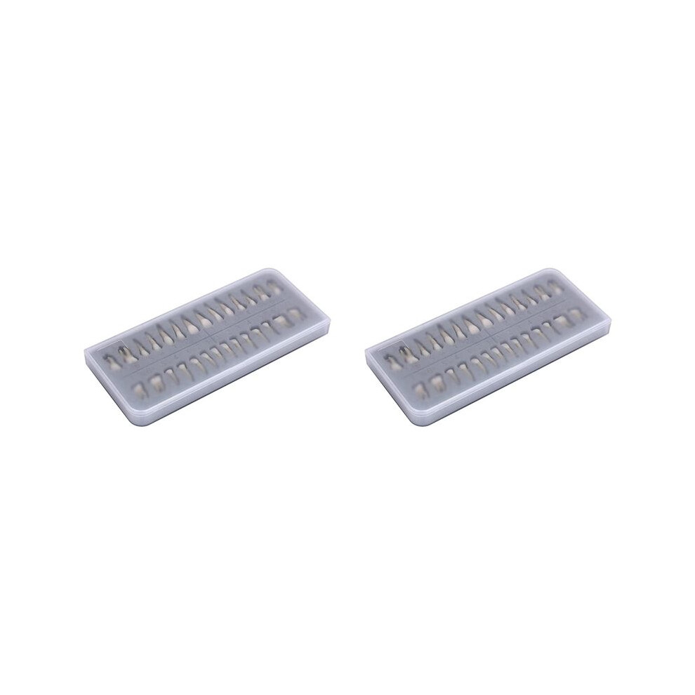 Unisex 56Pcs Tooth Model 1:1 Permanent Teeth Model Dental Resin Tooth Demonstration Tooth Education Teach Study