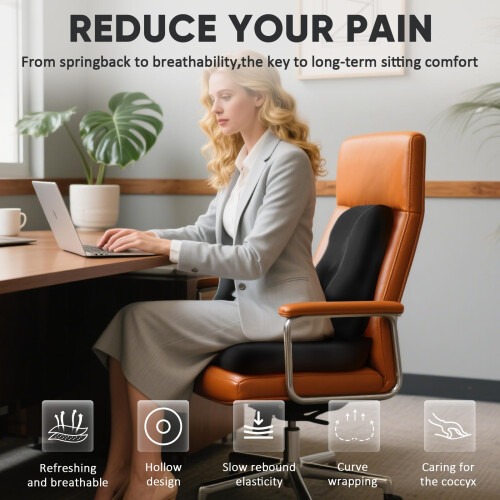 Lumbar Support Cushion for Office Chair,Ergonomic 1