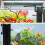 1000L/H 15W Internal Aquarium Filter Pump with Filtration 6