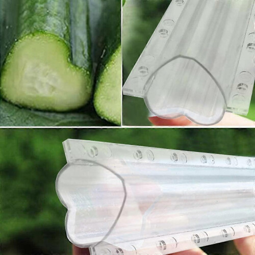 4pcs Cucumber Mould Transparent Vegetable Fruit Planting Mould Growth Observation 2