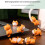 8Pcs Creative Small Cats Sculpture PVC Desktop Display Ornaments 2