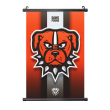 Browns Football Team PVC Black Axis Hanging Painting 3 Sizes
