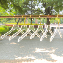 10 Pcs Clear Acrylic Clothes Hanger with Gold Hook, Transparent Shirts Dress Hanger with Notches for Lady Kids L