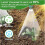 Les protecteurs de plantes transparents forment des mini serres 7