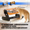 Durability Rustless Steel Cats Feeding Bowl Nonslip-Oranges 3