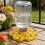 Bees Watering Station Floating Bees Feeder Island Bees Drinking 6