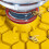 Bees Watering Station Floating Bees Feeder Island Bees Drinking 7