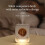 USB  Aromatherapy Machine Air Freshener Automatic Sprayers Essential Oil Perfume Diffuser Toilet Room Deodorizer 7
