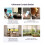-RBS Matter Wifi  Roller Shutter   Home Remote Control Timer Curtain  Work with Homekit Alexa 7