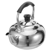 Zilveren Roestvrijstalen Theepot Met Filter En Antislip Handvat