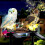 Owl Solar Garden Light 1