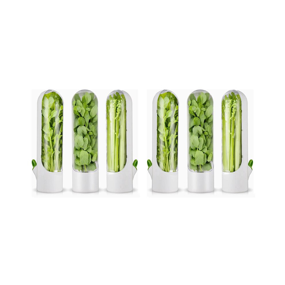 6Pcs Herb Saver For Refrigerator Herb Freshs Keeper For Refrigerator,Herb Storage For Cilantro,Parsley, Asparagus 4713774007514