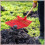 Manure Fork Replacement , Pitchfork , Horse Manure Rake, for Picking  Manure, Stable Waste Removal,Red,2Pcs 5