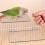 Perch Platform - Stainless Steel Exercise Bird Shelf for Small to Large Parrots 1