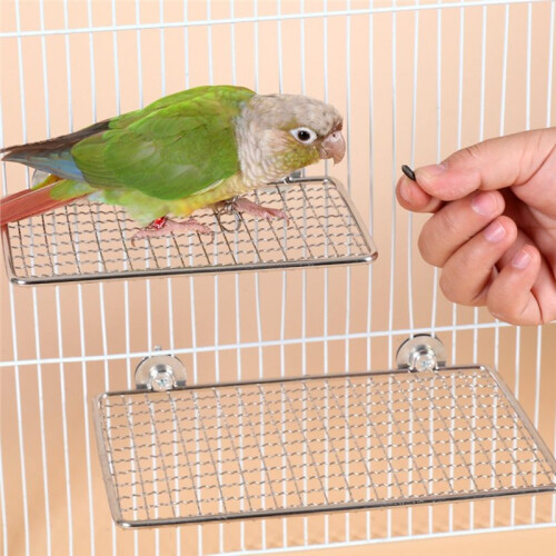 Perch Platform - Stainless Steel Exercise Bird Shelf for Small to Large Parrots