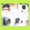 For  Action 6 Magnetic Neck Mount with Anti-Lost Safety Strap Quick Release Adapter Mount 3