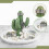 Cactus Ring Holder Ring Dish Ceramic Jewelry Ceramic Organizer Storage Plate Decorative Trays Bracel 4