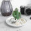 Cactus Ring Holder Ring Dish Ceramic Jewelry Ceramic Organizer Storage Plate Decorative Trays Bracel 5