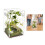 Pet Observation Enclosure Acrylic Terrarium Tanks With 2