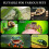 Pet Observation Enclosure Acrylic Terrarium Tanks With 7