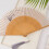 Folding Fan With Silk Design Excellent For Enhancing-11 5