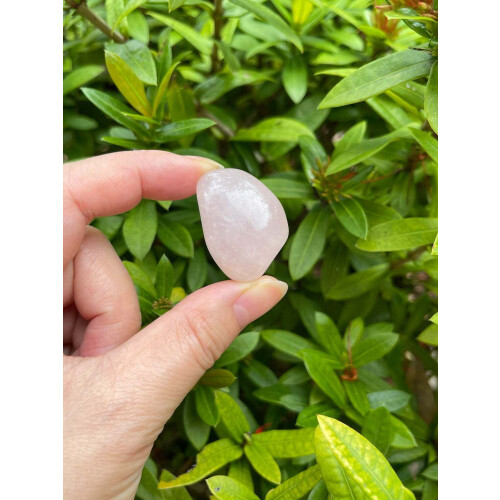 Rose Quartz tumbled stone 0.7–0.85 inch 2