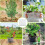 30Pcs Stainless Steel Gopher Proof Root Guard Baskets, Mix Size Mesh Baskets for Plant Tree Root Protection 6