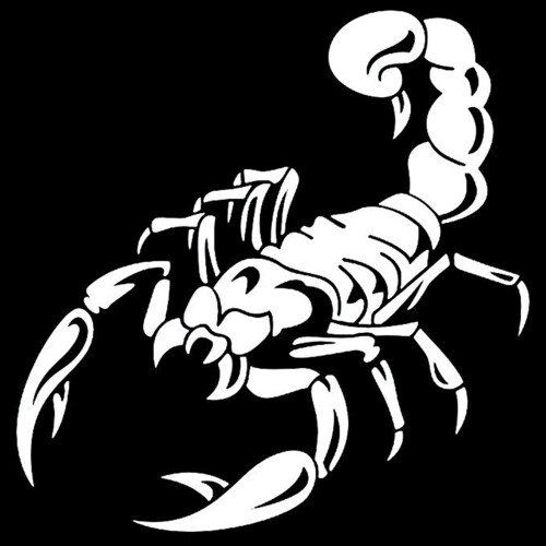 2X Car Decalcomanie 3D Scorpion Decal Sticker Cool Vinyl, Bianco 40cm 2