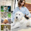 Pet Brush - YSFMODE - Grooming Comb - Ergonomic Handle - Double-Sided - Easy Cleaning 3