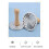 Decorative Cookie Stamp Press with Wooden Handle and Metal Pattern Discs for Baking B 4