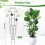 Iron Plant Climbing Frame Support For Outdoor-butterfly1 type 4